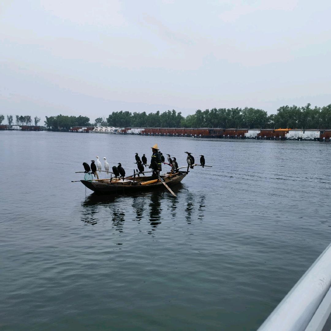 雄安清畅旅游船务有限公司