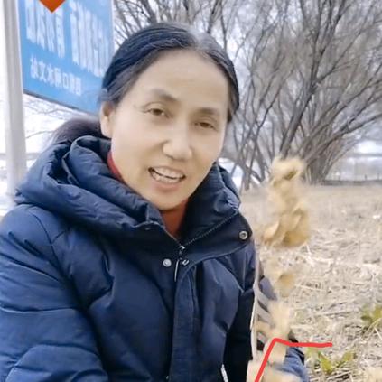 范家大姐