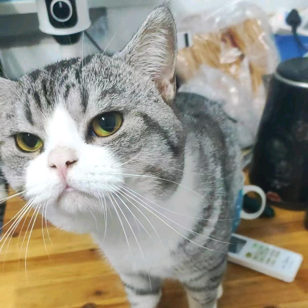 马超