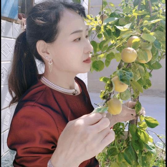 刘姐爱生活
