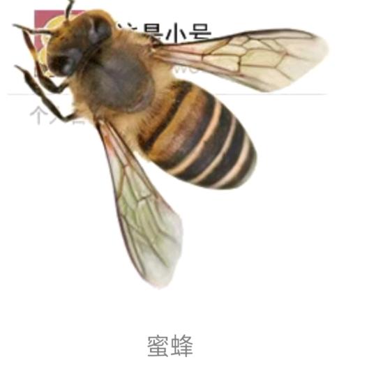 看淡一切。