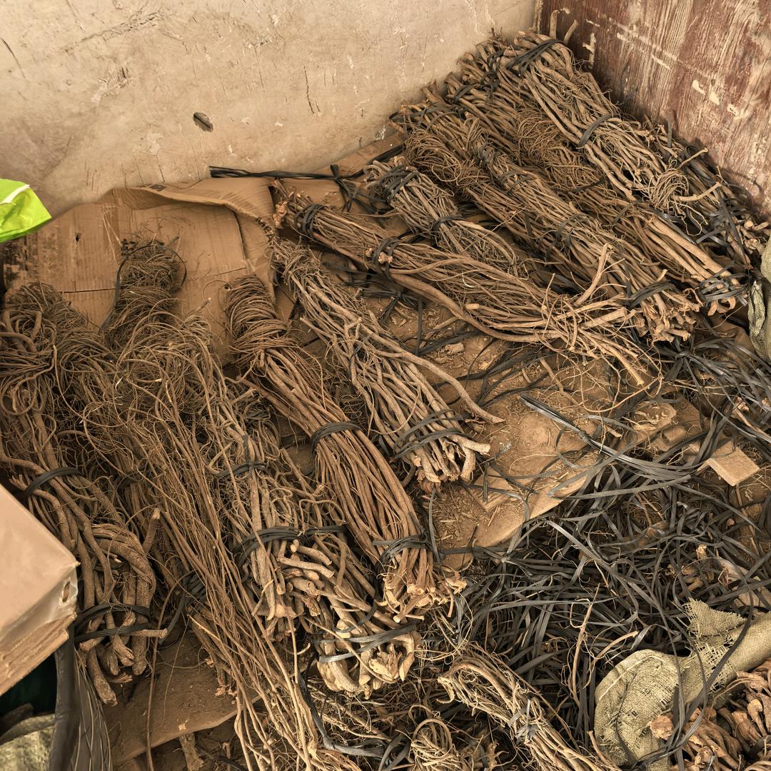 这个是（鱼藤根）树根植物