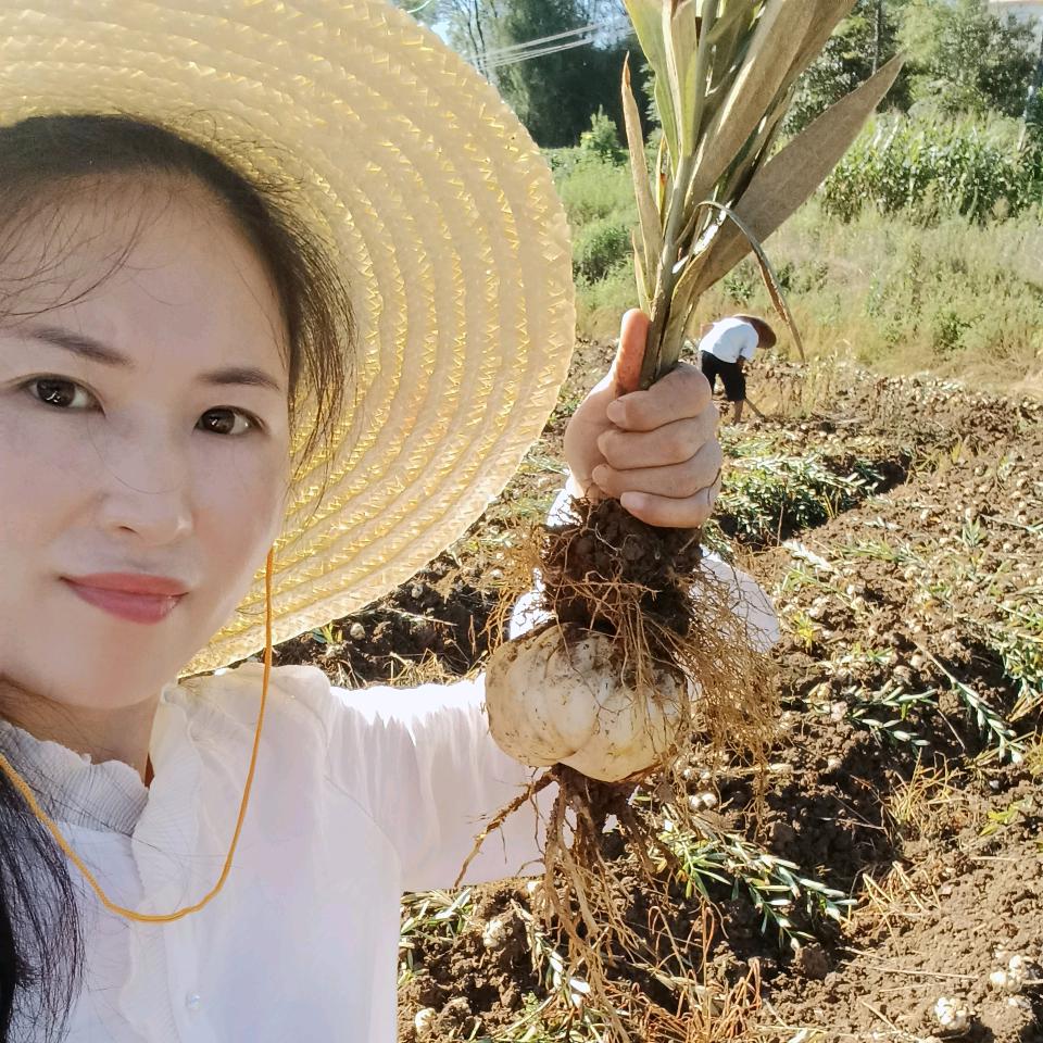 隆回种植西施～小罗