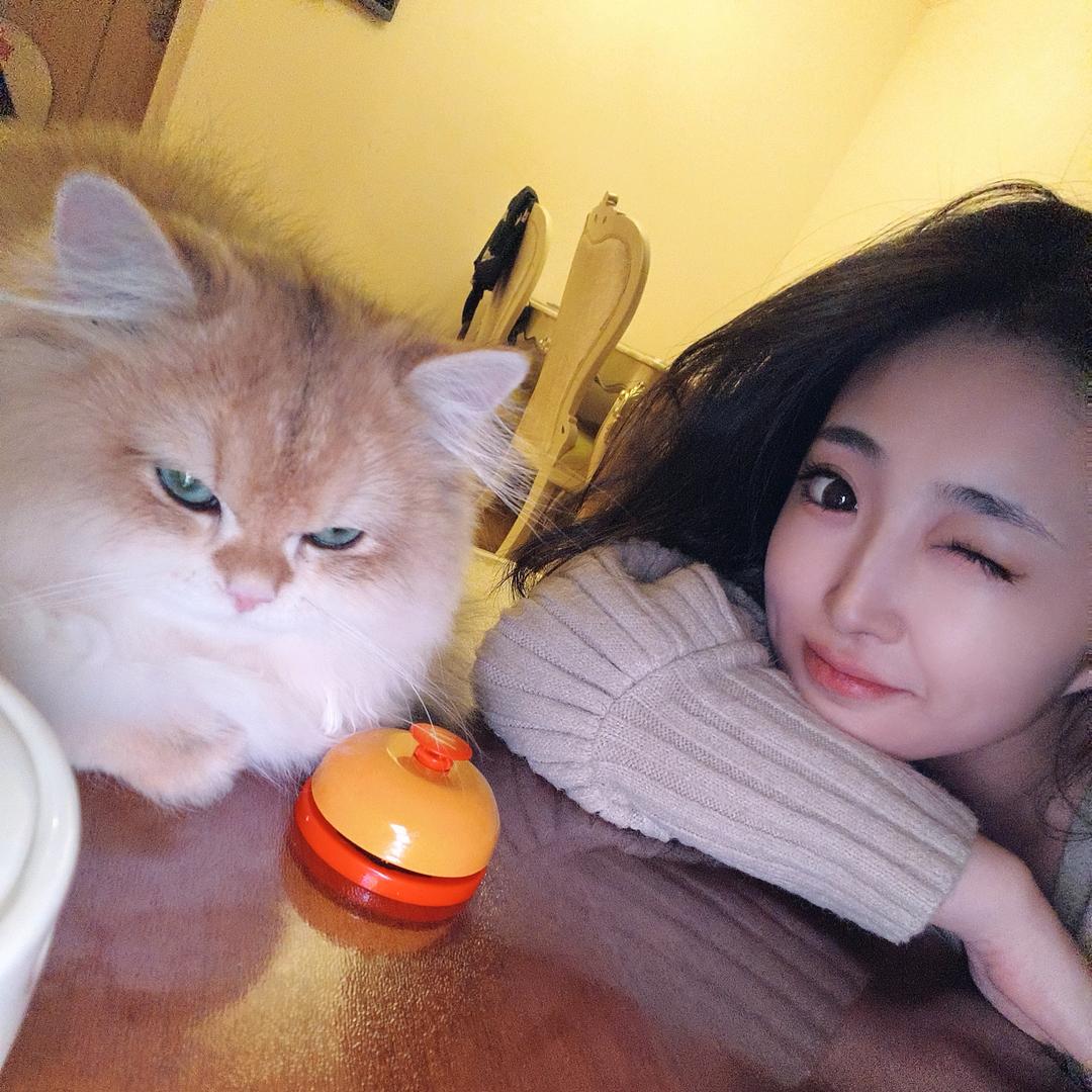 💛💛恩僖