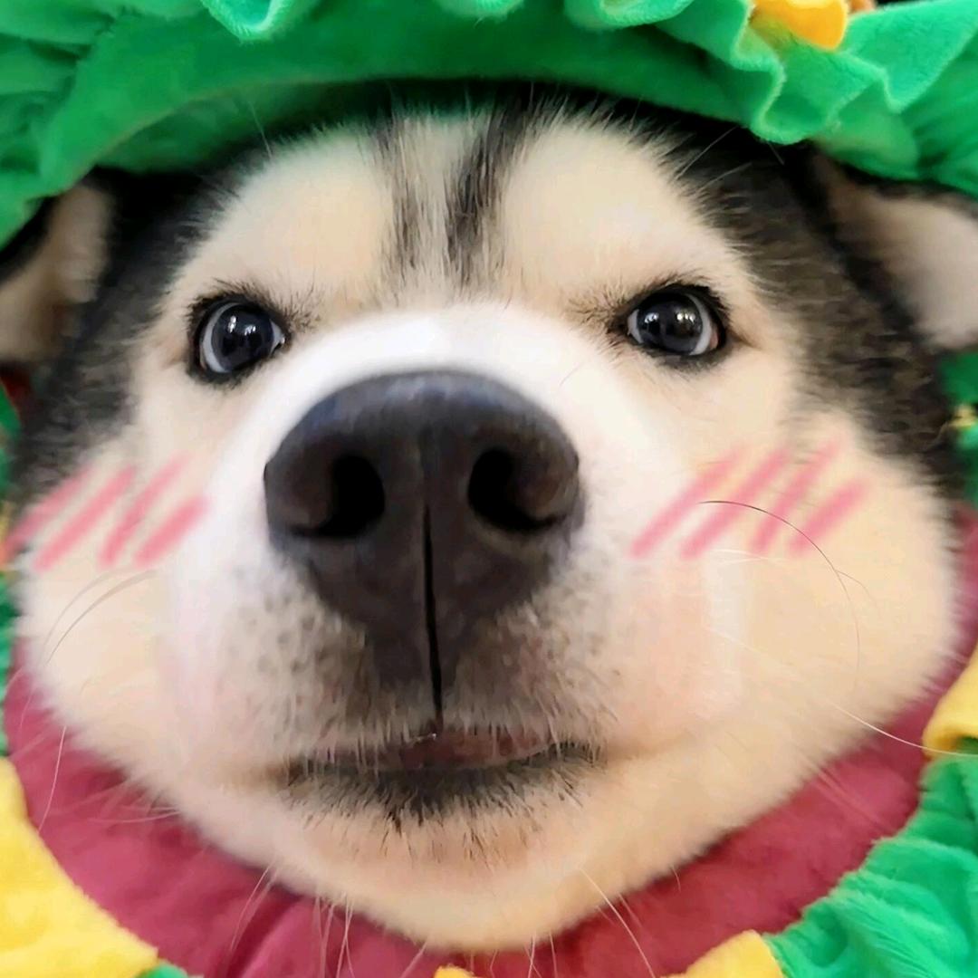 赐小雨