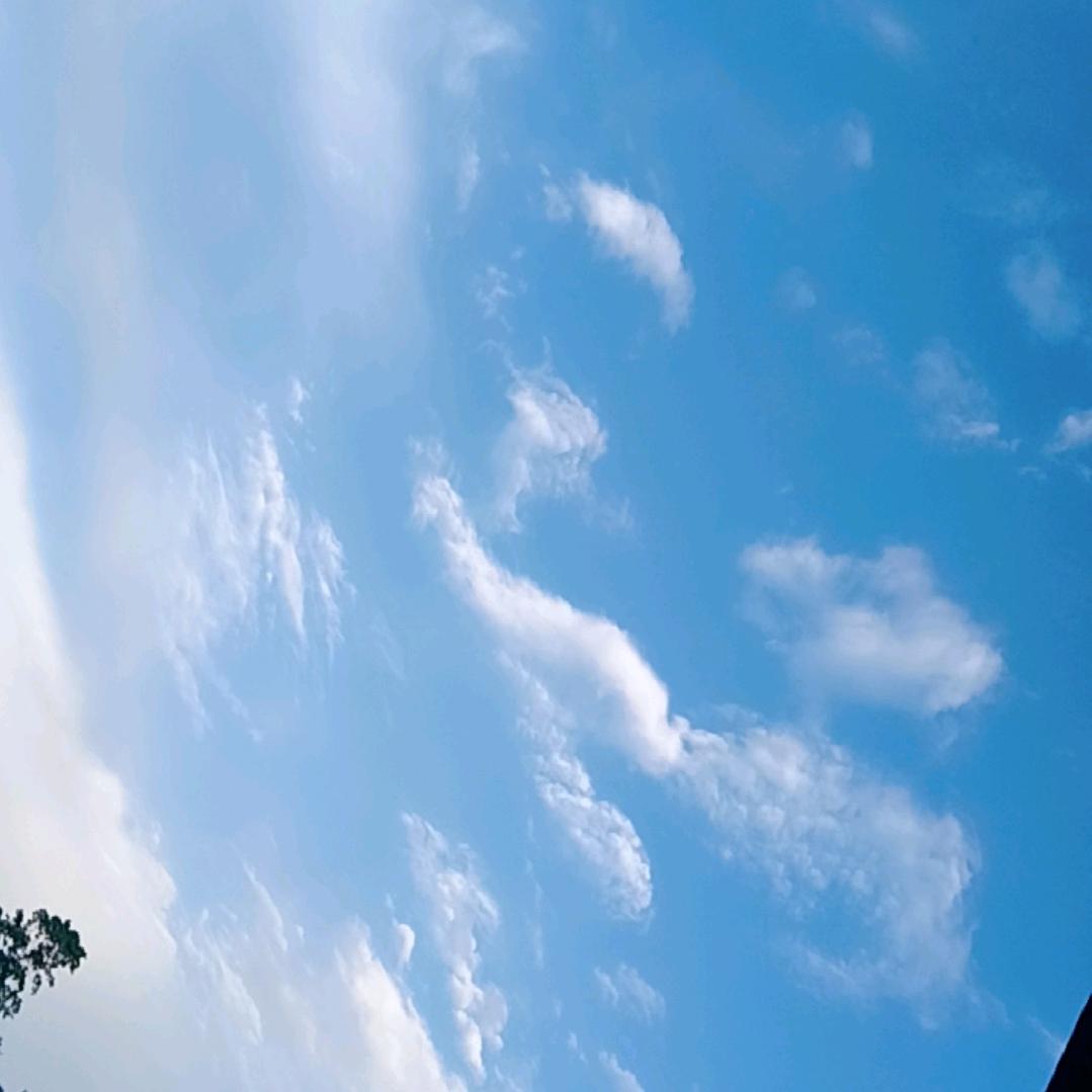 水果沙拉🥗