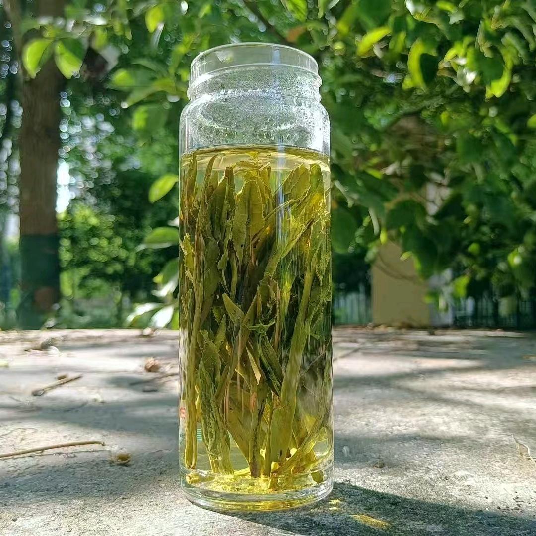 壹壶茶