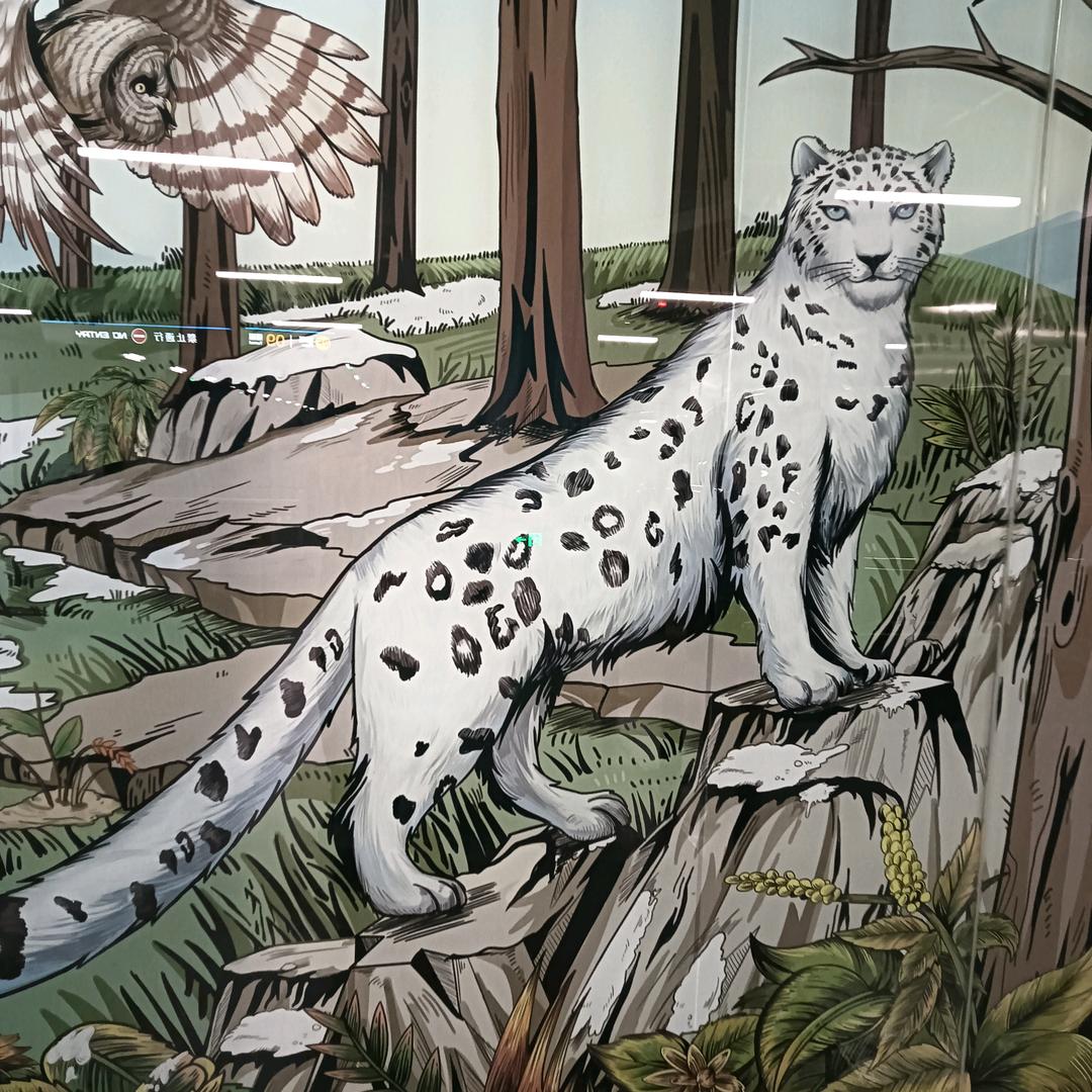 'B组@西伯利亚狼