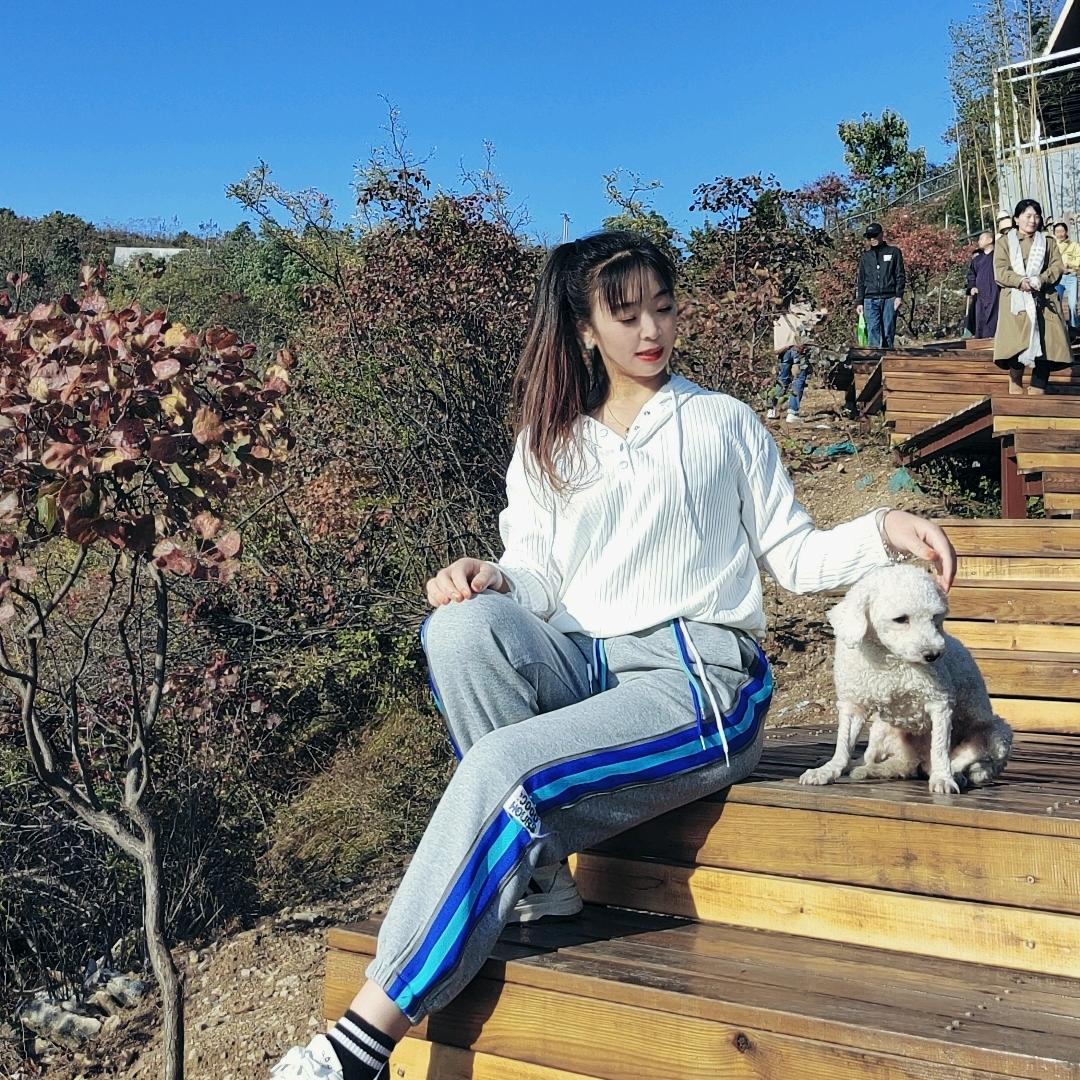 杨家大小姐（不定时直播）