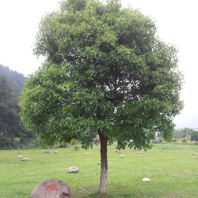 向前看，向钱看，莫回头