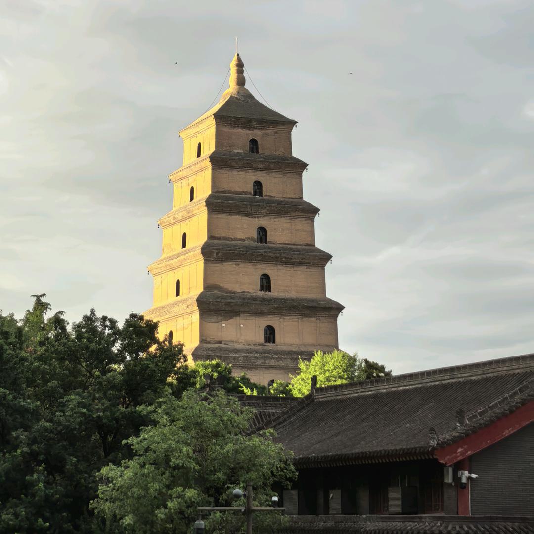 西安北冥有鱼国旅官方直播间