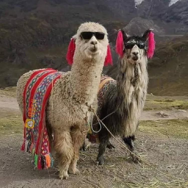 🌈🌈🌈兴兴兴🌈🌈🌈