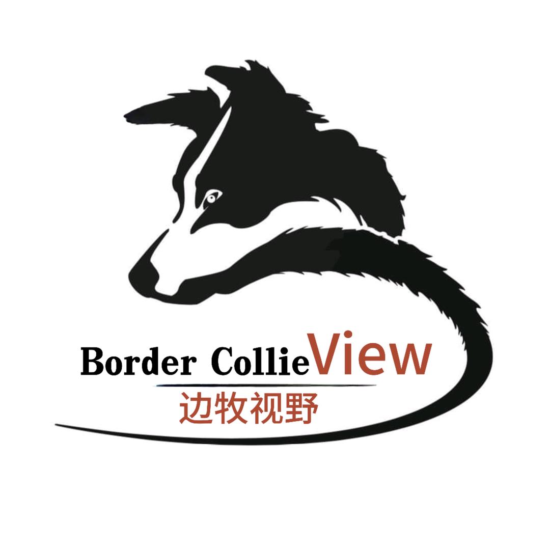 边牧视野（大仙）