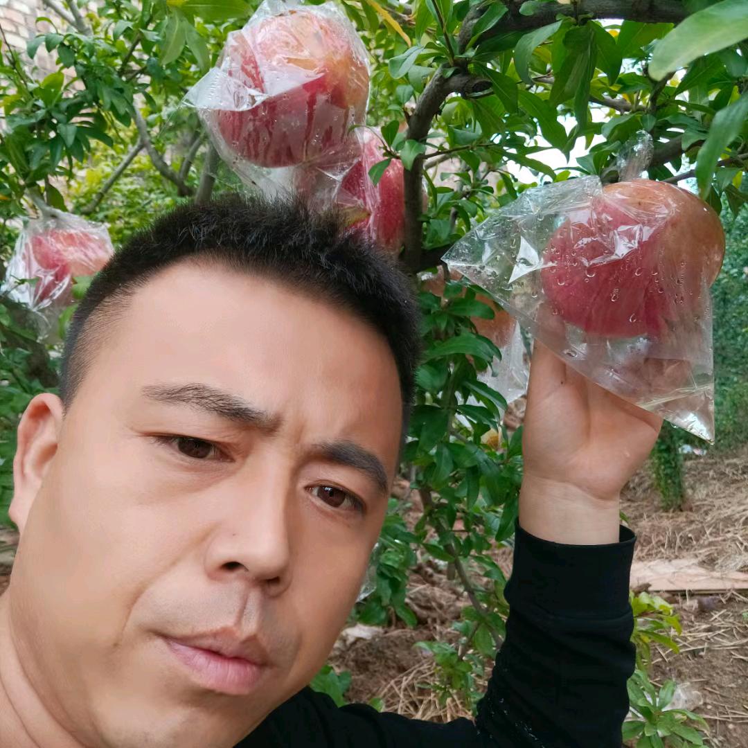 房三雷石榴自产自销