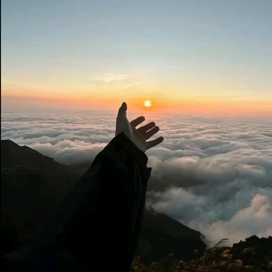 小阳.