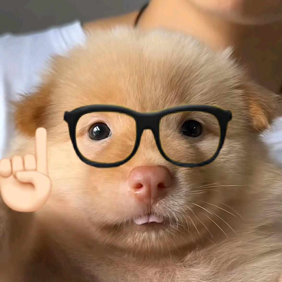 邮兵