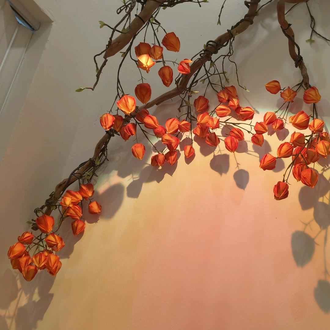 ડꪙꪕડⅇᴛꪫ꫁🥀