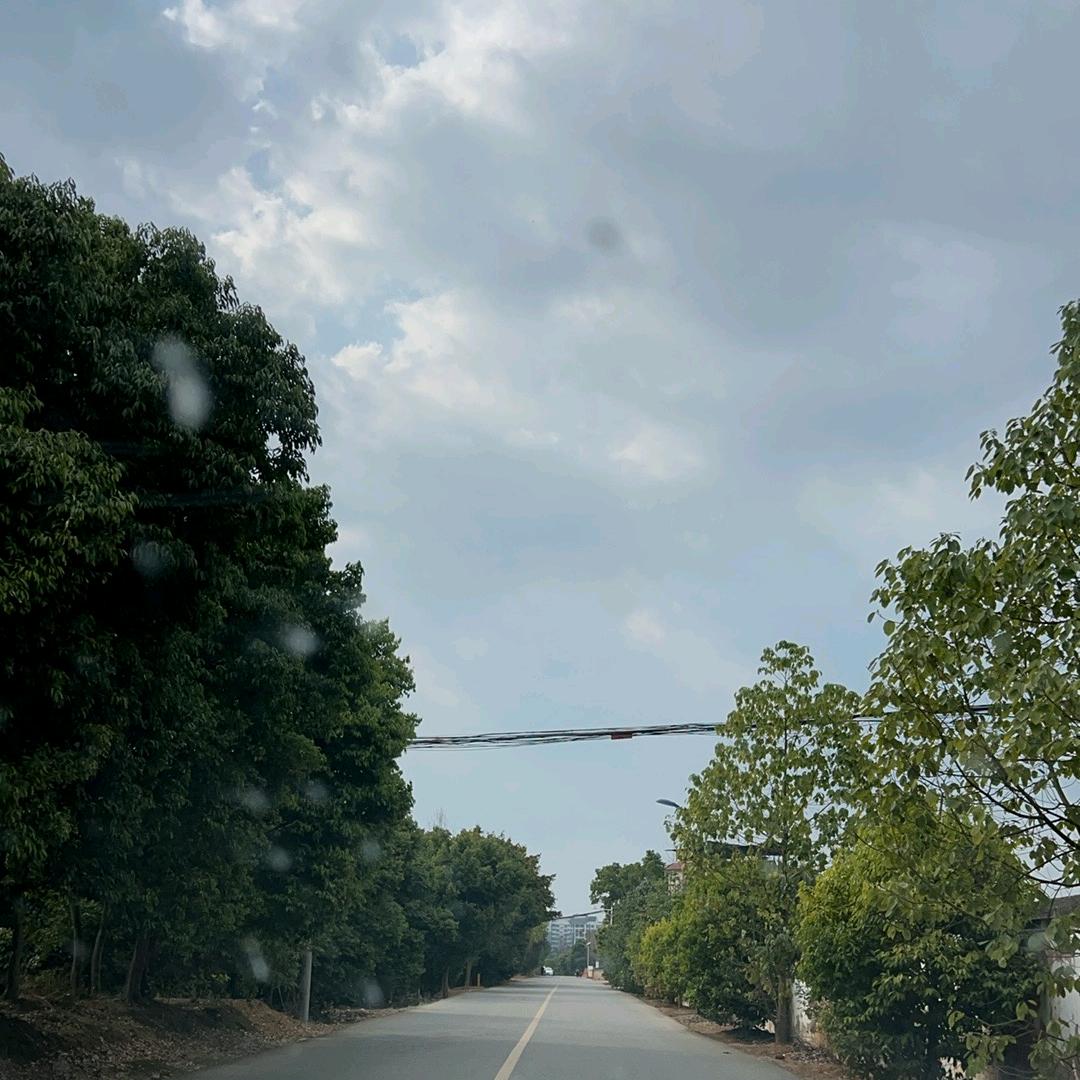 肩膀上有花的统统给我进来