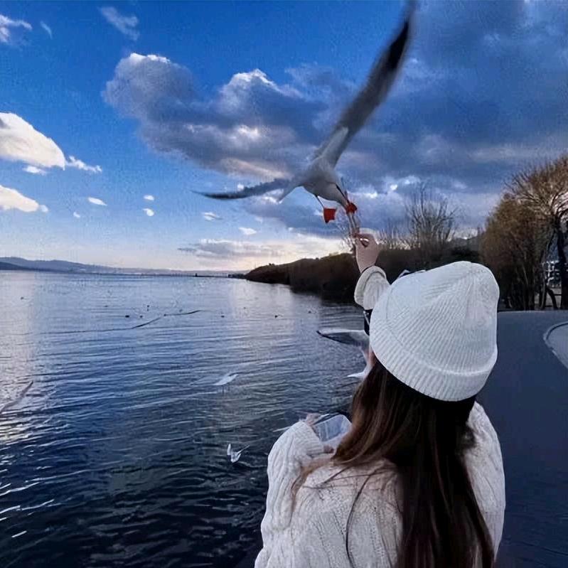 晴晴💫优选