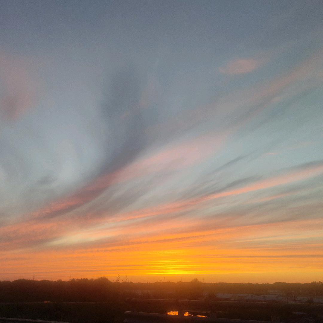 小张小张从不慌张