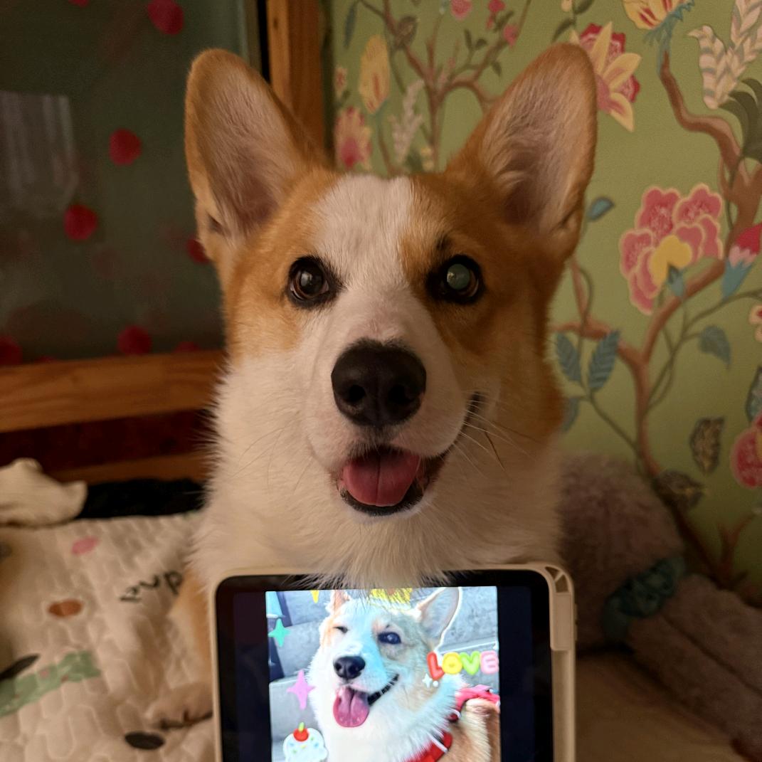 波比的彩虹糖💭