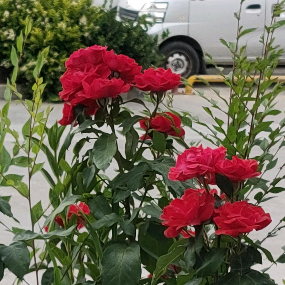 愿多年以后我们还是朋友。