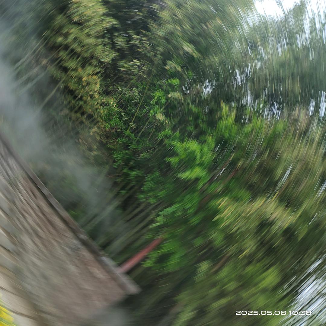 静欣