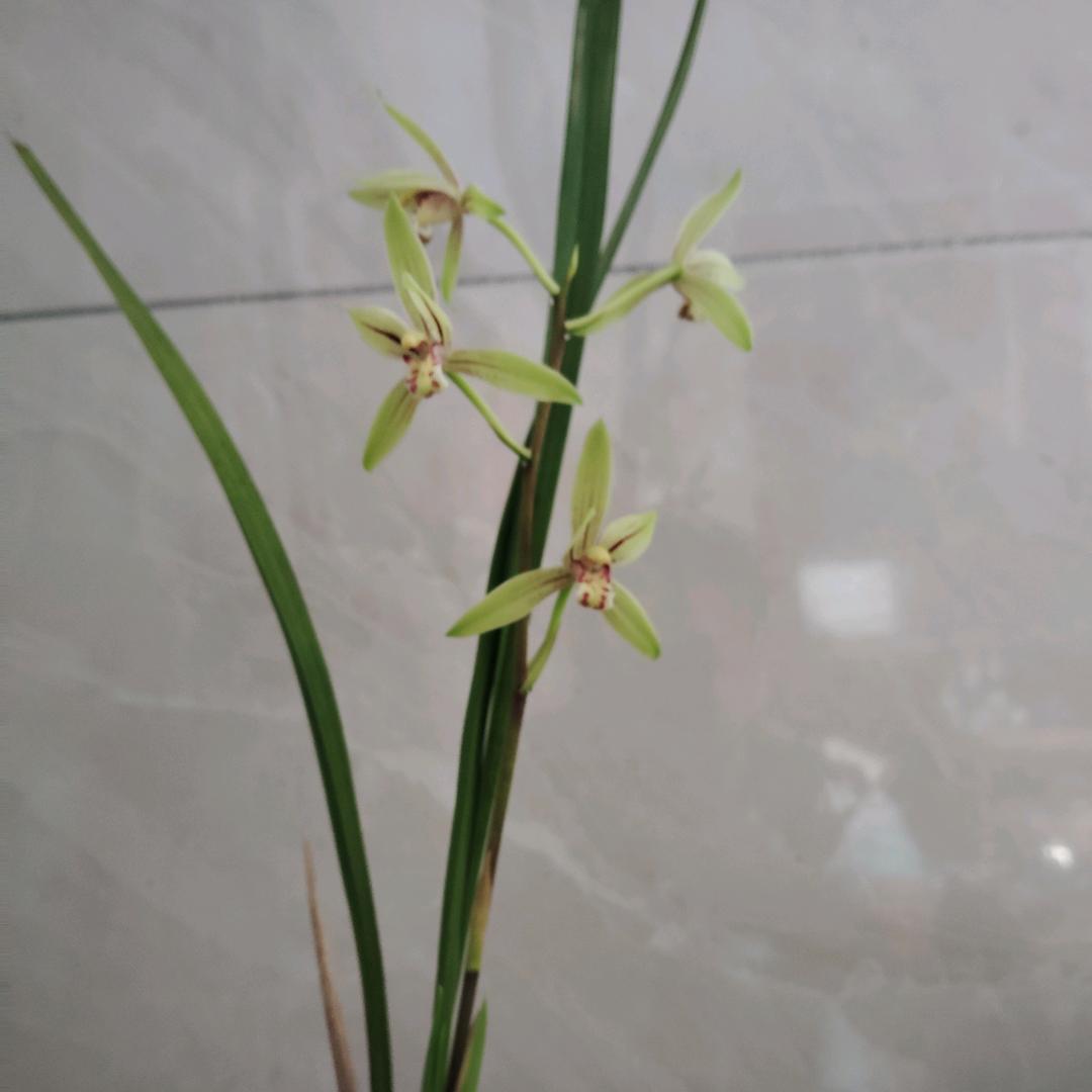 生态小范