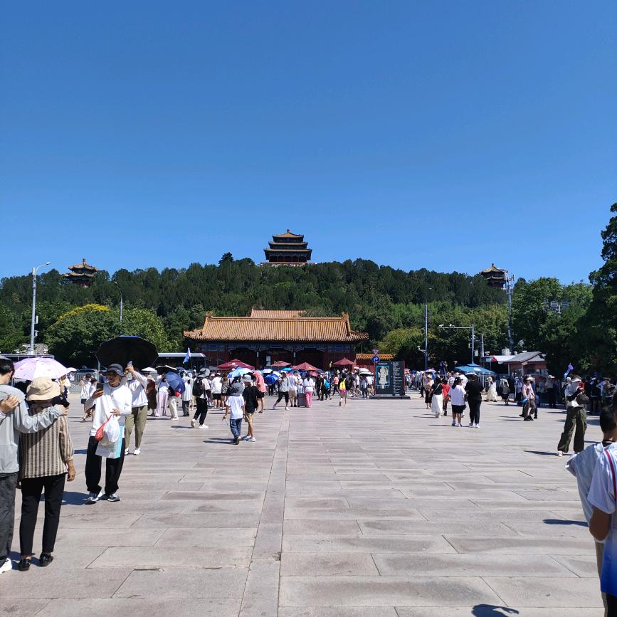 叶落无痕🍁