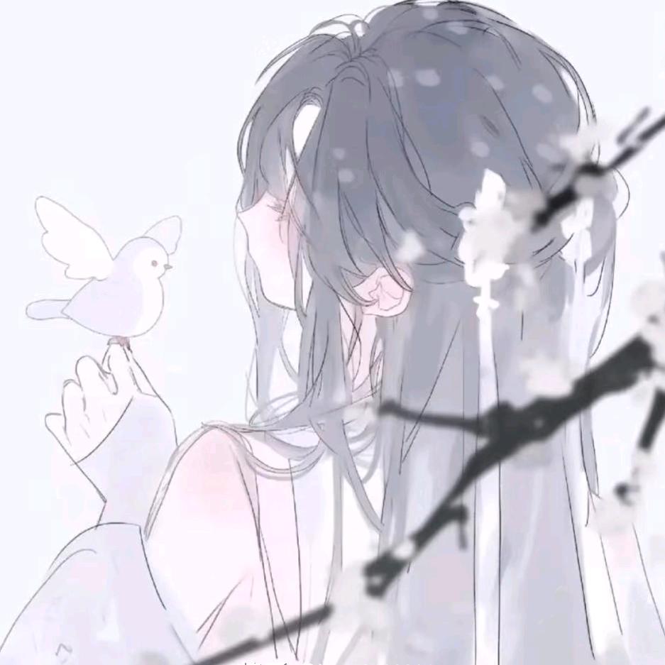 镜中尘