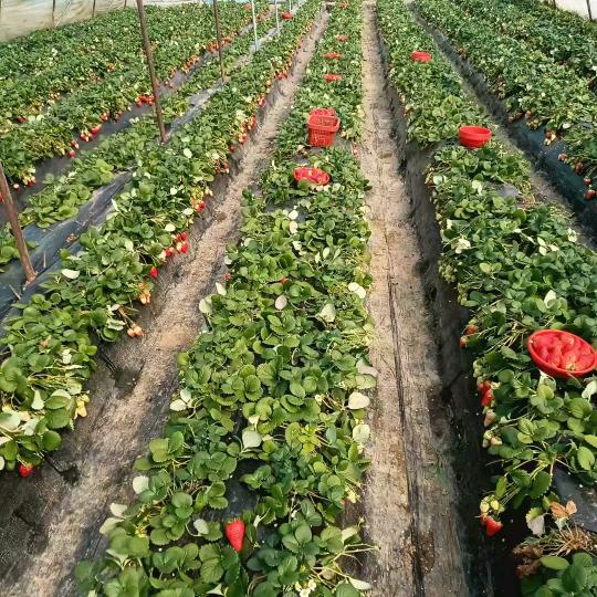 风雨无阻，只为你！