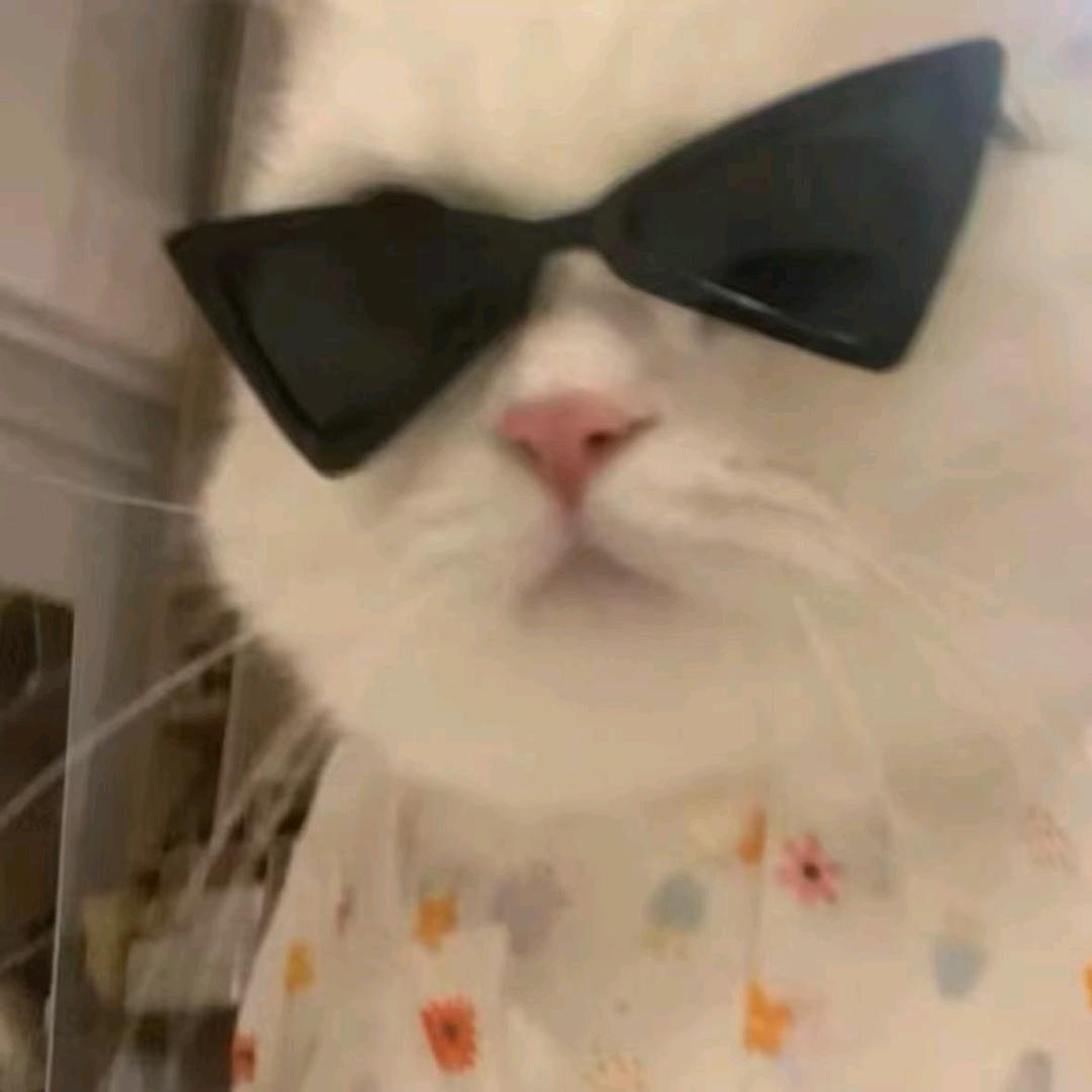 睡觉的时候不困