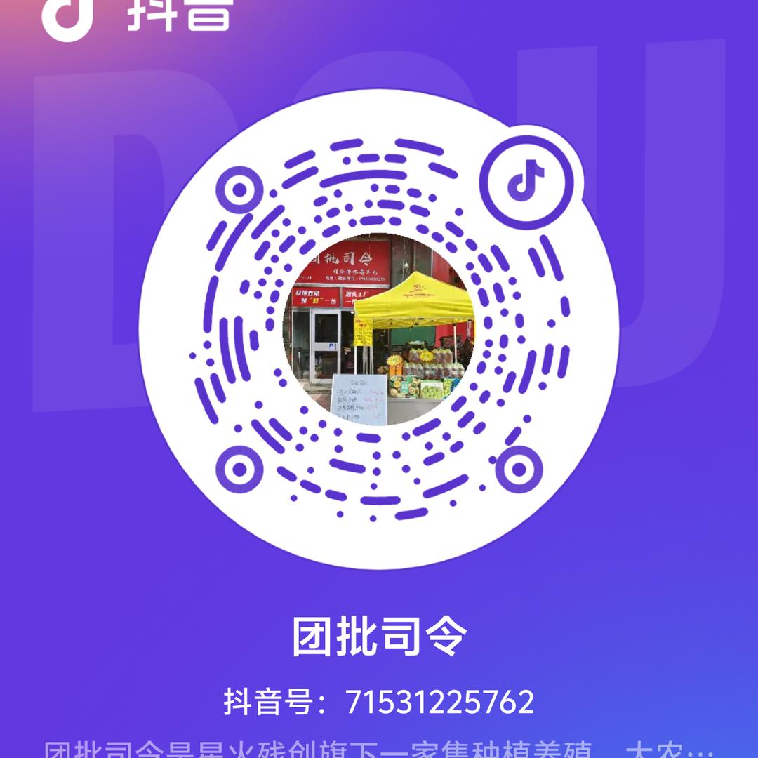 团批司令