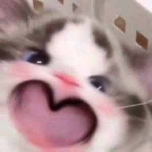 叶余