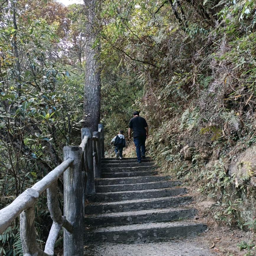 老桃和大炮