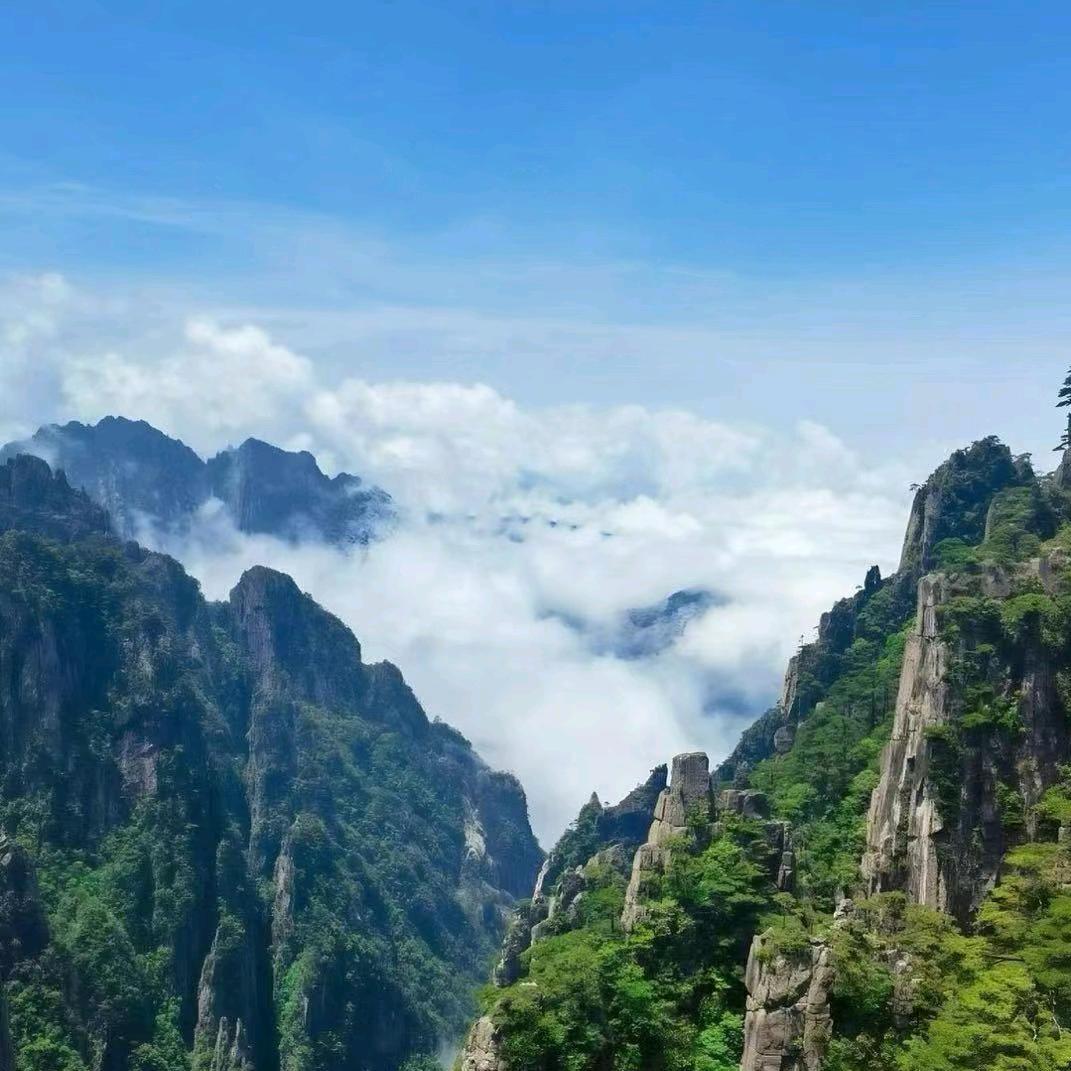 🤜跟着社会走🤡