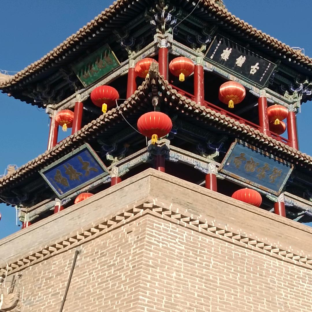恐高的隼