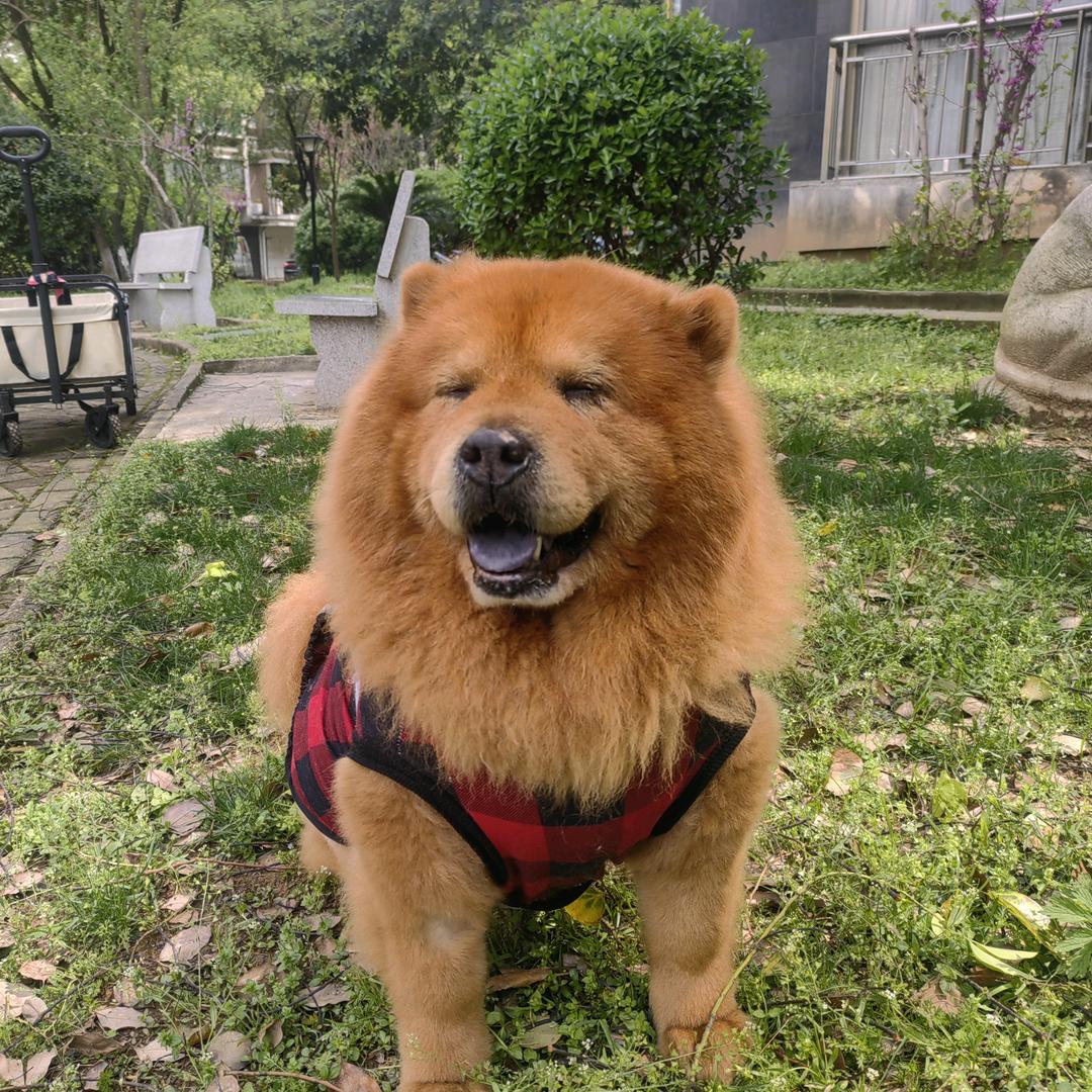 杨洋得亿