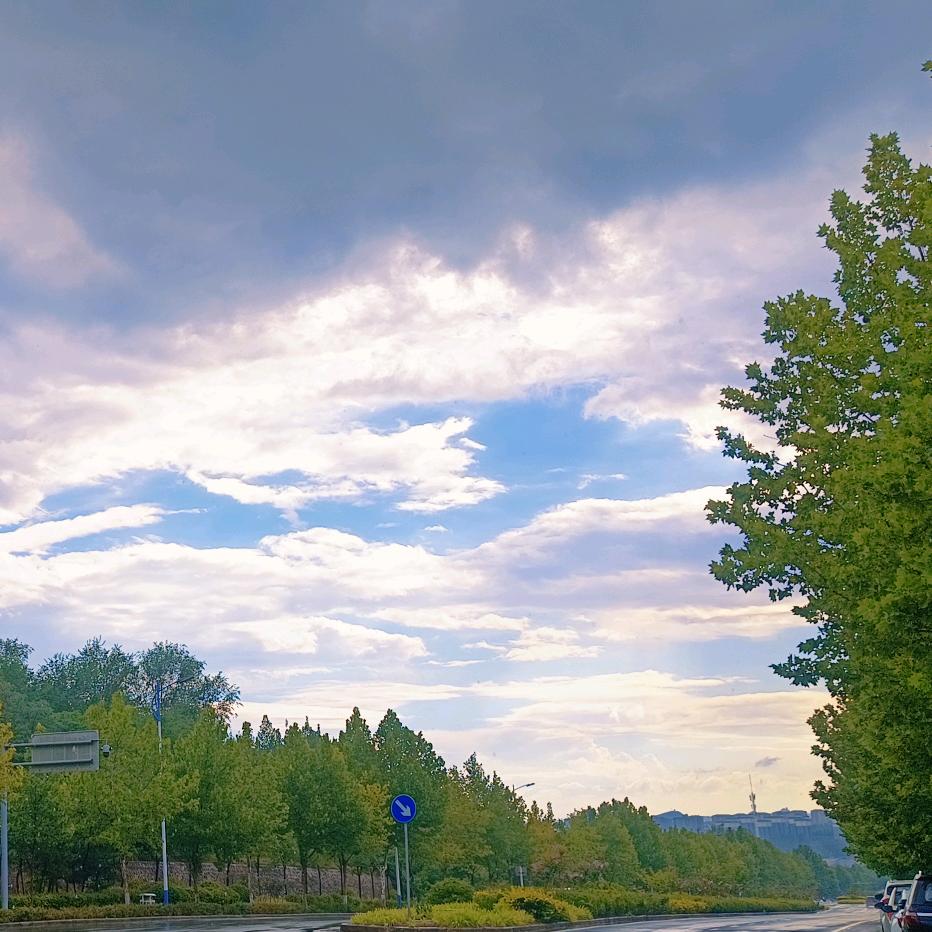 南栀丶倾寒 🍭