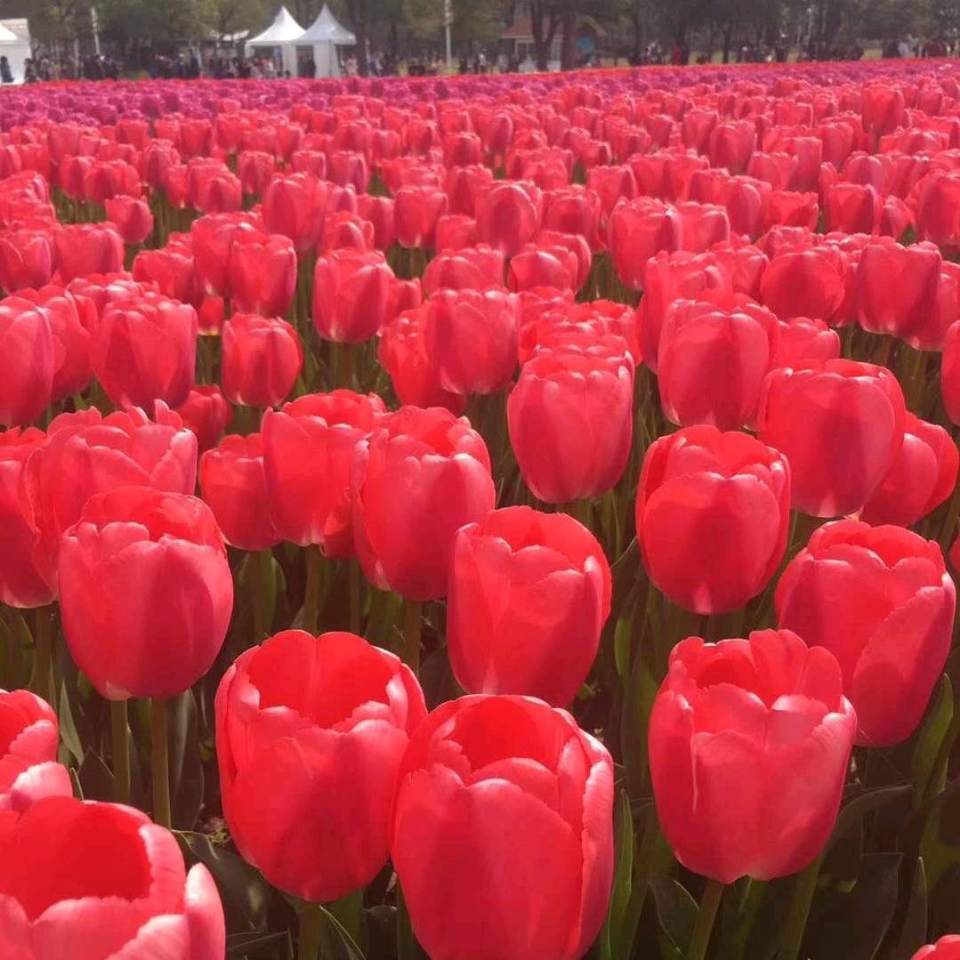 一笑而过🌷😀
