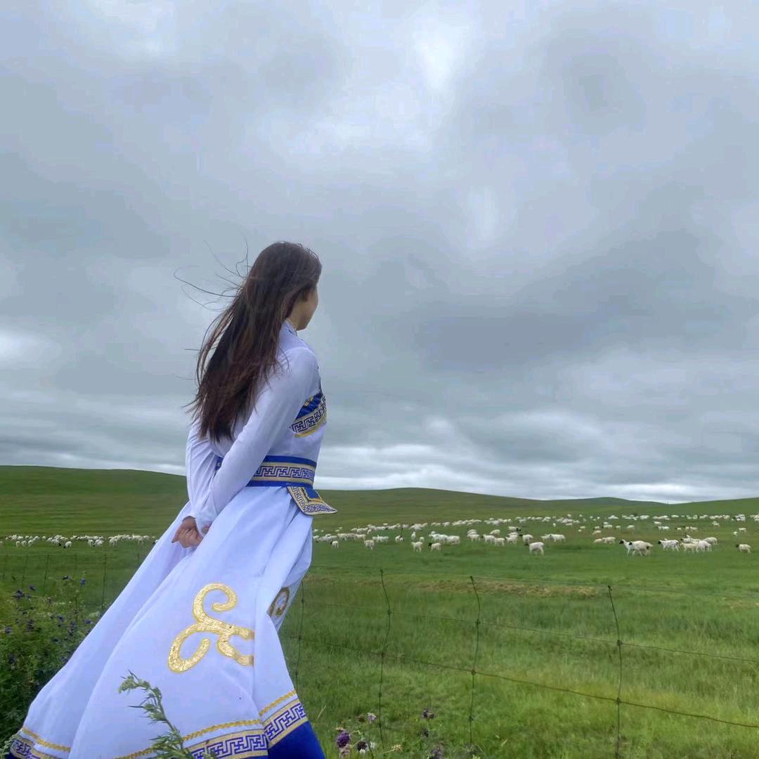 金多多内蒙特产超市