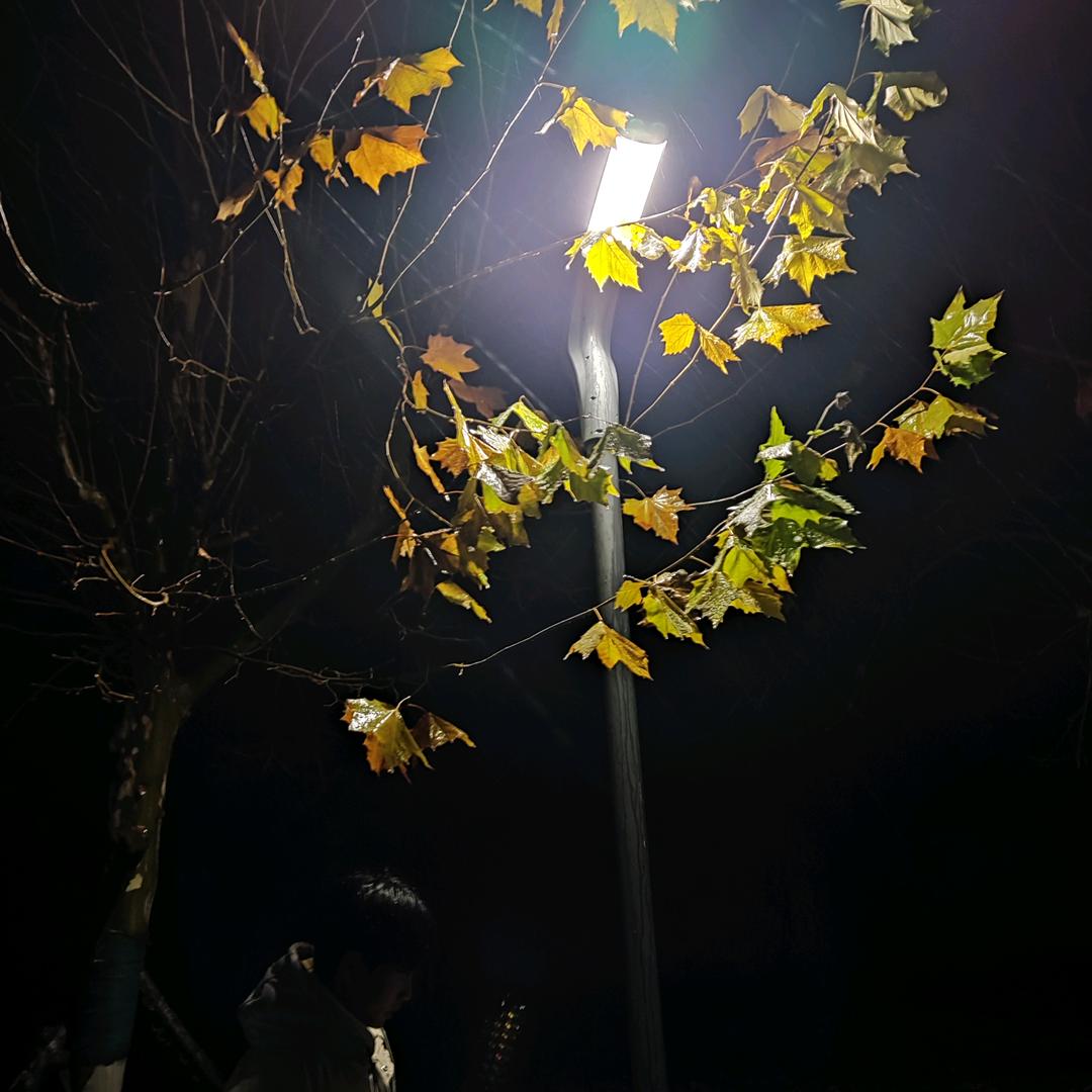 阿伦·艾弗森