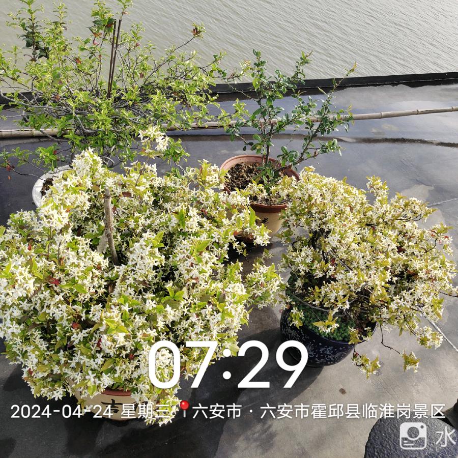 你来我往