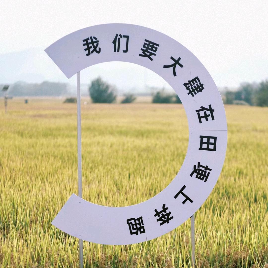 宝应县南闸村90后新农人(村干部助农)