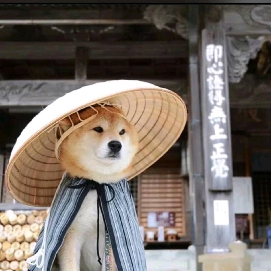 猛踹瘸子那条好腿，