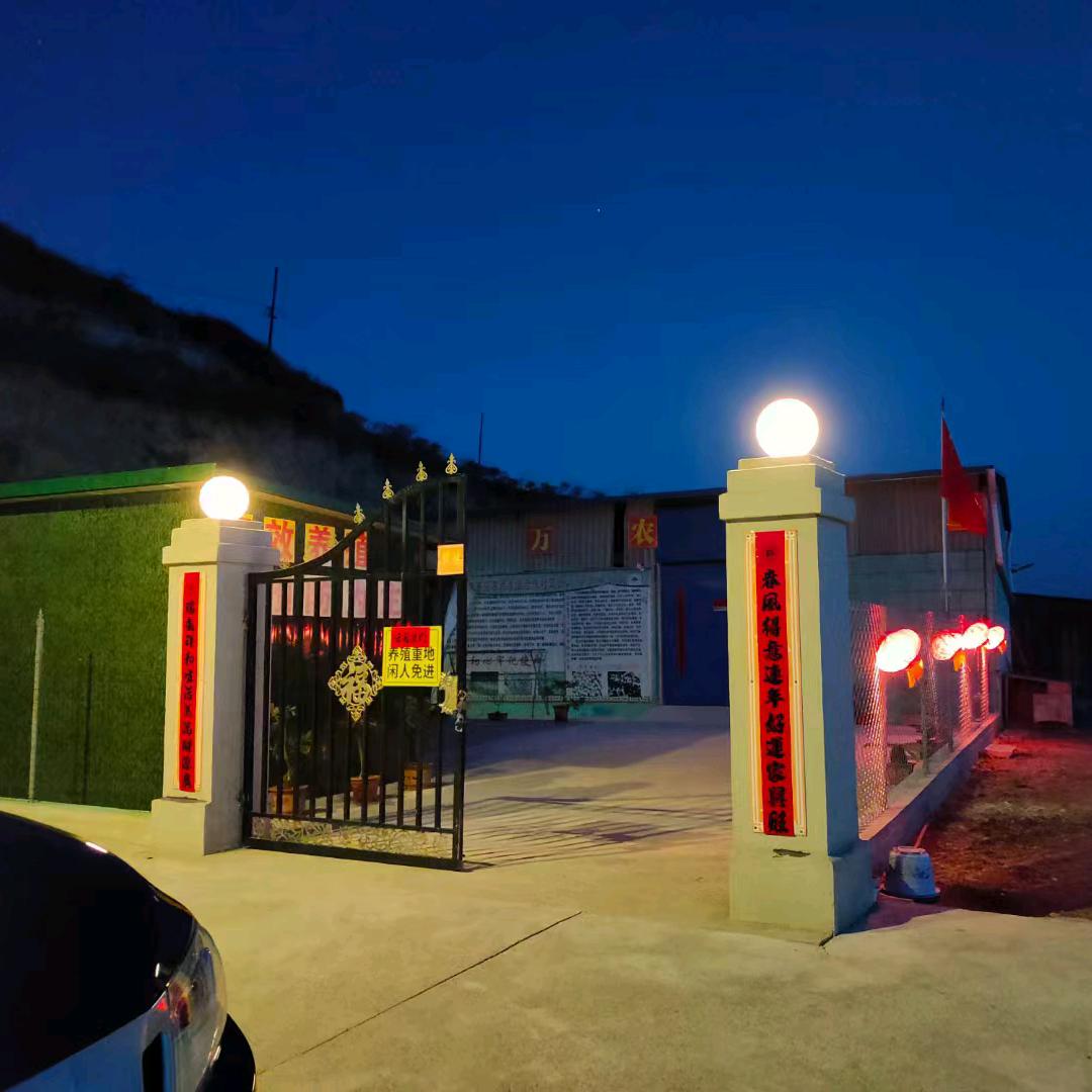 创业，新农人！