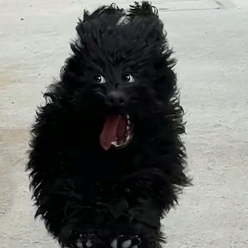 晚述秋