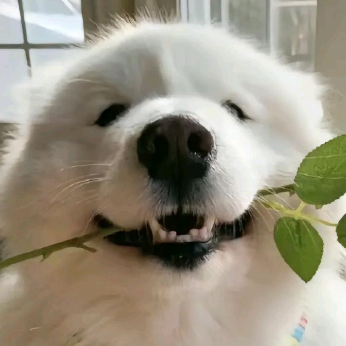 优百货坊2
