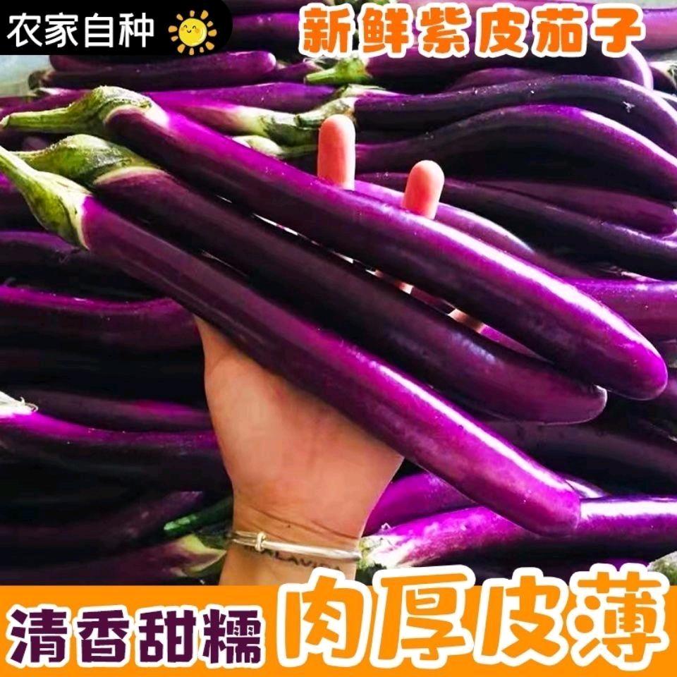 兰鑫蔬菜