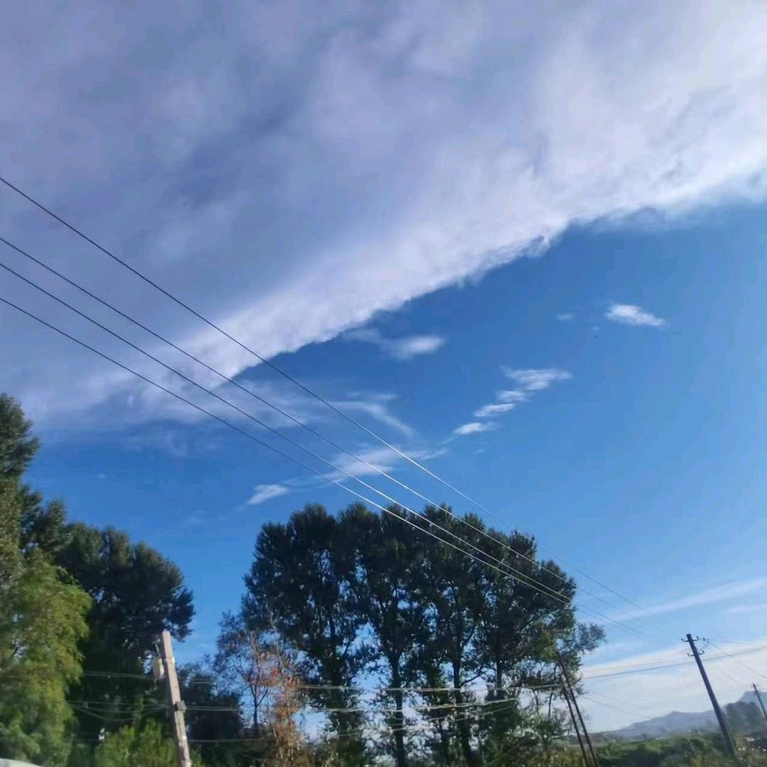 叁金(大连优乐唱跳俱乐部版)